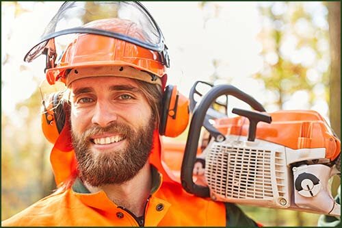 tree surgeon chester